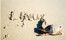 [photo of crab writing `LINUX' on beach]