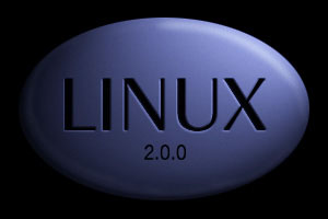 [engraved `LINUX' on a ray-traced pill-shaped ovoid; `2.0.0' beneath]