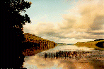 [pastel-hued photo of a glassy lake in northern Minnesota]